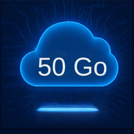 Forfait Sauvegarde Cloud 50 Go – Abonnement Mensuel
