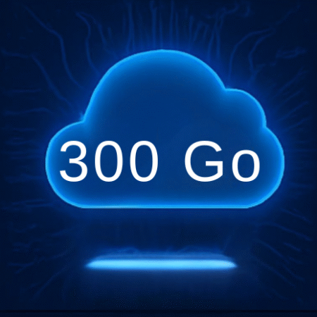 Forfait Sauvegarde Cloud 300 Go – Abonnement Mensuel