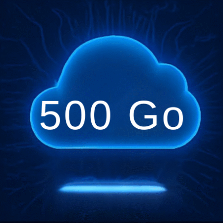 Forfait Sauvegarde Cloud 500 Go – Abonnement Mensuel