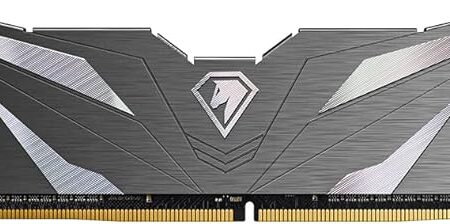 Netac Shadow RAM DDR4 16Go 2666MHz Cl19 Mémoire de Bureau Haute Performance, Noir (Fréquence Standard)